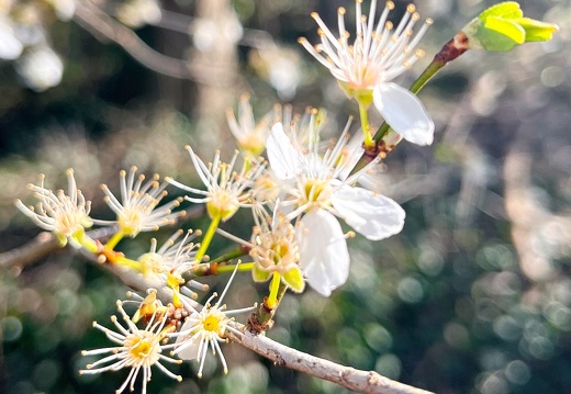 23-03-17 10-20-00 4875